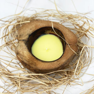 Sviečka v kokosovom orechu – citrónová tráva